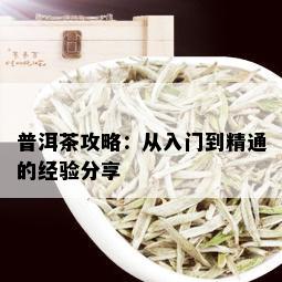 普洱茶攻略：从入门到精通的经验分享