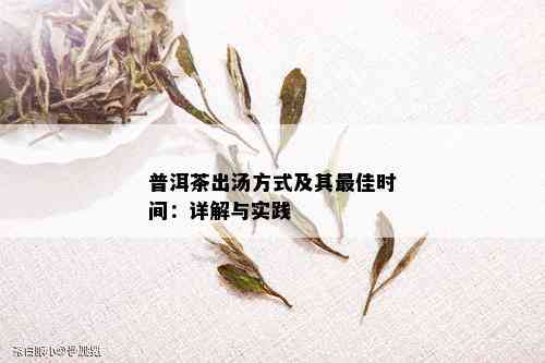 普洱茶出汤方式及其更佳时间：详解与实践