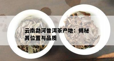 云南勐河普洱茶产地：揭秘其位置与品质