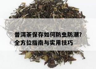 普洱茶保存如何防虫防潮？全方位指南与实用技巧