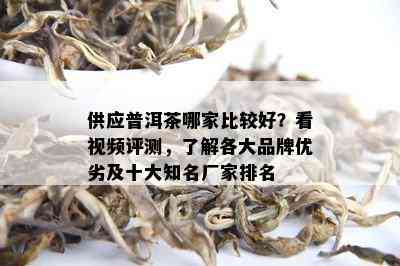 供应普洱茶哪家比较好？看视频评测，了解各大品牌优劣及十大知名厂家排名