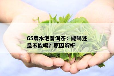 65度水泡普洱茶：能喝还是不能喝？原因解析