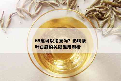 65度可以泡茶吗？影响茶叶口感的关键温度解析