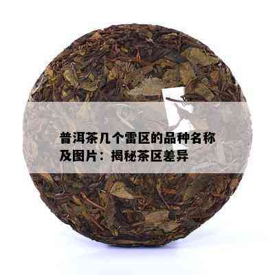 普洱茶几个雷区的品种名称及图片：揭秘茶区差异