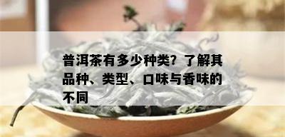 普洱茶有多少种类？了解其品种、类型、口味与香味的不同