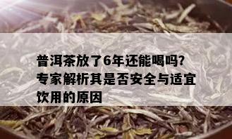 普洱茶放了6年还能喝吗？专家解析其是否安全与适宜饮用的原因