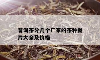 普洱茶分几个厂家的茶种图片大全及价格