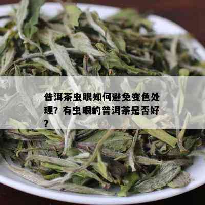 普洱茶虫眼如何避免变色处理？有虫眼的普洱茶是否好？