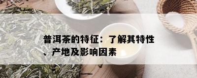 普洱茶的特征：了解其特性、产地及影响因素