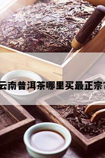 云南普洱茶哪里买最正宗？