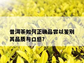 普洱茶如何正确品尝以鉴别其品质与口感？