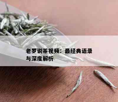 老罗说茶视频：最经典语录与深度解析