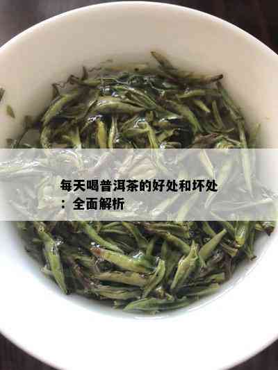 每天喝普洱茶的好处和坏处：全面解析