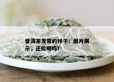 普洱茶发霉的样子：图片展示，还能喝吗？