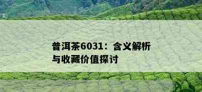 普洱茶6031：含义解析与收藏价值探讨