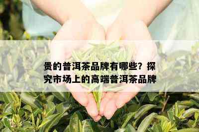 贵的普洱茶品牌有哪些？探究市场上的高端普洱茶品牌