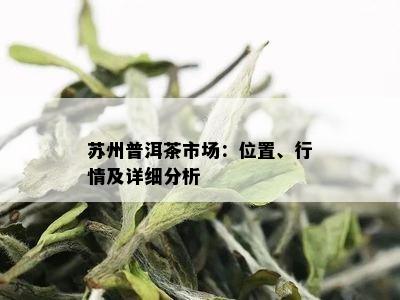 苏州普洱茶市场：位置、行情及详细分析