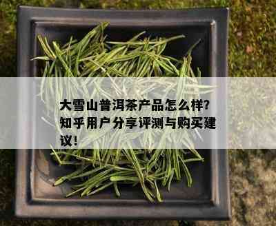 大雪山普洱茶产品怎么样？知乎用户分享评测与购买建议！