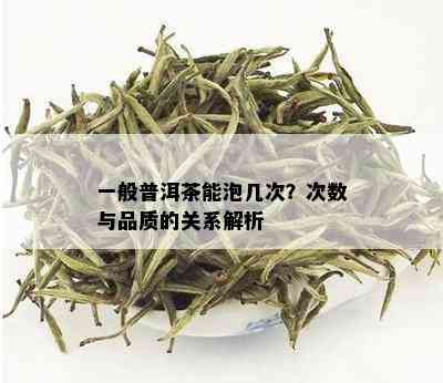 一般普洱茶能泡几次？次数与品质的关系解析