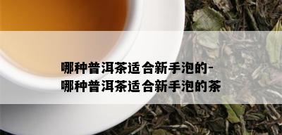 哪种普洱茶适合新手泡的-哪种普洱茶适合新手泡的茶