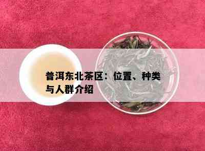 普洱东北茶区：位置、种类与人群介绍