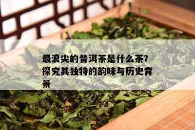 最浪尖的普洱茶是什么茶？探究其独特的韵味与历史背景