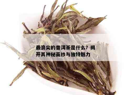 最浪尖的普洱茶是什么？揭开其神秘面纱与独特魅力