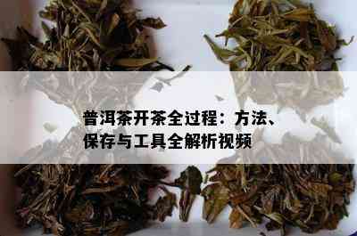 普洱茶开茶全过程：方法、保存与工具全解析视频