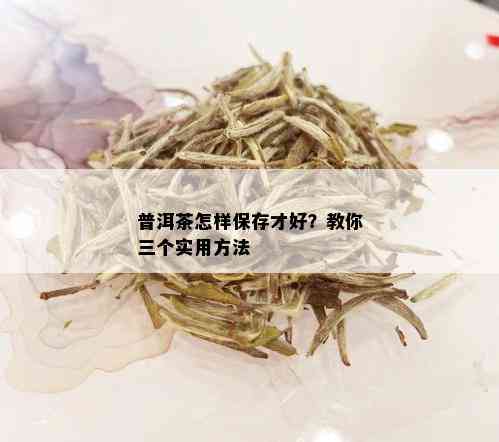 普洱茶怎样保存才好？教你三个实用方法