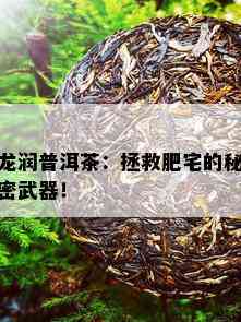 龙润普洱茶：拯救肥宅的秘密武器！