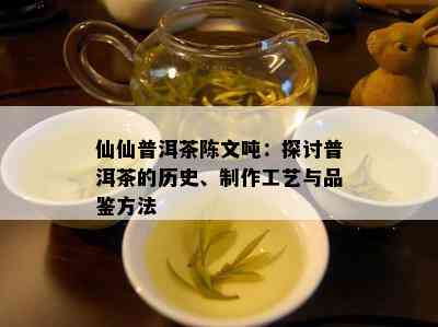 仙仙普洱茶陈文吨：探讨普洱茶的历史、制作工艺与品鉴方法