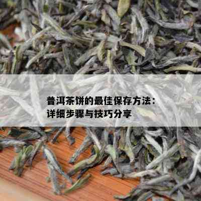 普洱茶饼的更佳保存方法：详细步骤与技巧分享