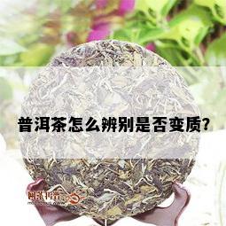 普洱茶怎么辨别是否变质？