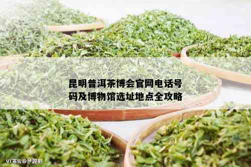 昆明普洱茶博会官网电话号码及博物馆选址地点全攻略