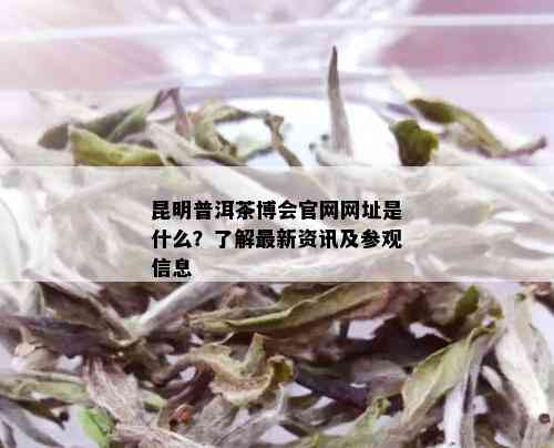 昆明普洱茶博会官网网址是什么？了解最新资讯及参观信息