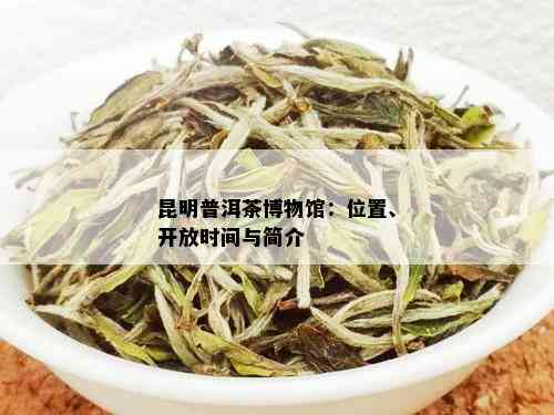 昆明普洱茶博物馆：位置、开放时间与简介