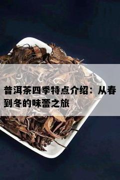 普洱茶四季特点介绍：从春到冬的味蕾之旅