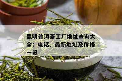 昆明普洱茶工厂地址查询大全：电话、最新地址及价格一览