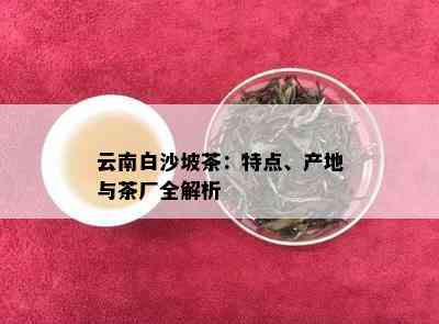 云南白沙坡茶：特点、产地与茶厂全解析