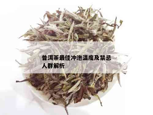 普洱茶更佳冲泡温度及禁忌人群解析