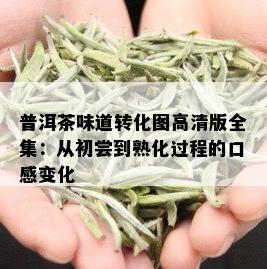 普洱茶味道转化图高清版全集：从初尝到熟化过程的口感变化