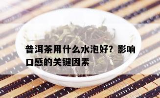 普洱茶用什么水泡好？影响口感的关键因素