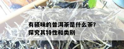 有骚味的普洱茶是什么茶？探究其特性和类别