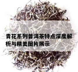 青花系列普洱茶特点深度解析与精美图片展示