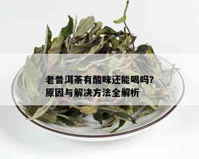 老普洱茶有酸味还能喝吗？原因与解决方法全解析