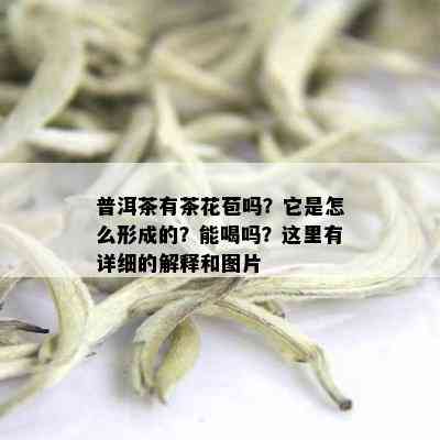 普洱茶有茶花苞吗？它是怎么形成的？能喝吗？这里有详细的解释和图片