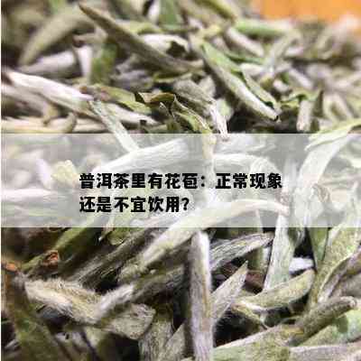 普洱茶里有花苞：正常现象还是不宜饮用？