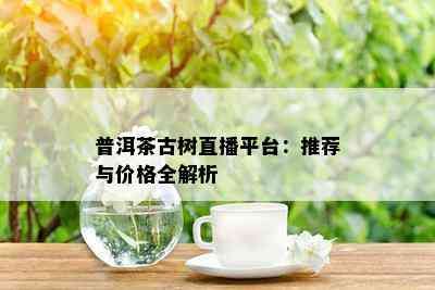 普洱茶古树直播平台：推荐与价格全解析