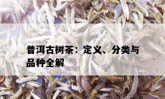 普洱古树茶：定义、分类与品种全解