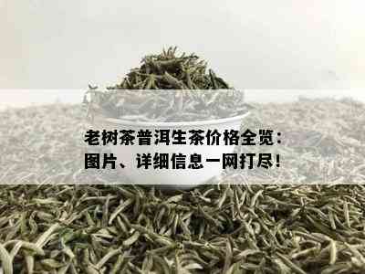 老树茶普洱生茶价格全览：图片、详细信息一网打尽！